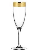 Champagne glasses 6 pcs Gold Karat