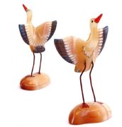 Stork